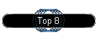 Top 8